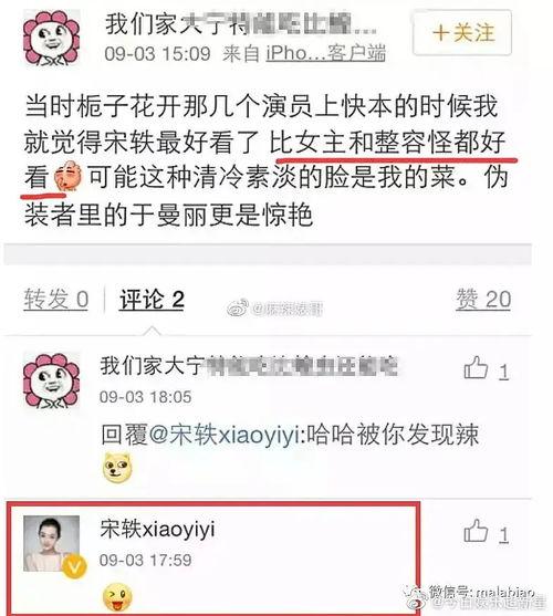 有关宋轶的爆料视频